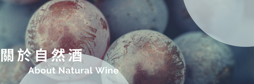關於自然酒 About Natural Wine